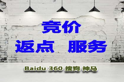 某行业sem代运营推广公司成功案例分析